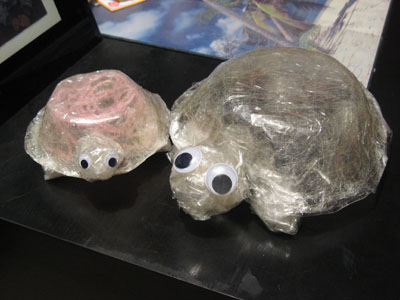 Sellotape tortoises by artist Pui Lee